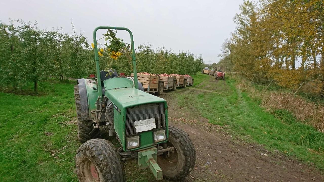 Ferienwohnung Auf Dem Bio Obsthof Twielenfleth Eksteriør billede